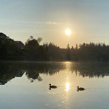 Villa Petrabunt Филлах Экстерьер фото